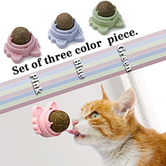 Catnip Wall Ball - Sale🔥